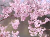 上海博也企业管理咨询有限公司