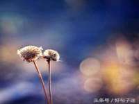 上海博也企业管理咨询有限公司