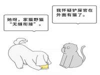 上海博也企业管理咨询有限公司