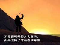 上海博也企业管理咨询有限公司