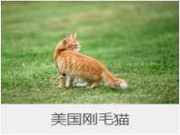 上海博也企业管理咨询有限公司