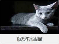上海博也企业管理咨询有限公司