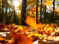 上海博也企业管理咨询有限公司