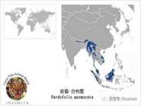上海博也企业管理咨询有限公司
