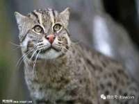 上海博也企业管理咨询有限公司