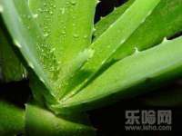 上海博也企业管理咨询有限公司