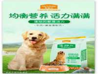 上海博也企业管理咨询有限公司