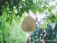 上海博也企业管理咨询有限公司