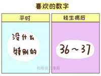 上海博也企业管理咨询有限公司