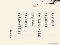 上海博也企业管理咨询有限公司