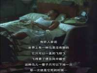 上海博也企业管理咨询有限公司