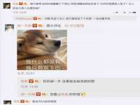 上海博也企业管理咨询有限公司