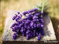 上海博也企业管理咨询有限公司