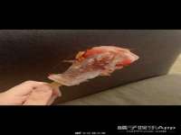上海博也企业管理咨询有限公司